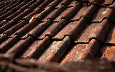 Het dak van je huis renoveren: dit moet je weten