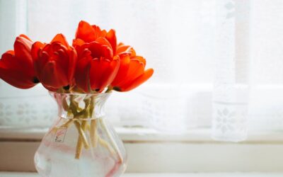 Hoe je huis verandert met het seizoen mee