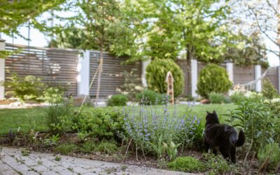 Je tuin of oprit transformeren: de juiste bestrating kiezen