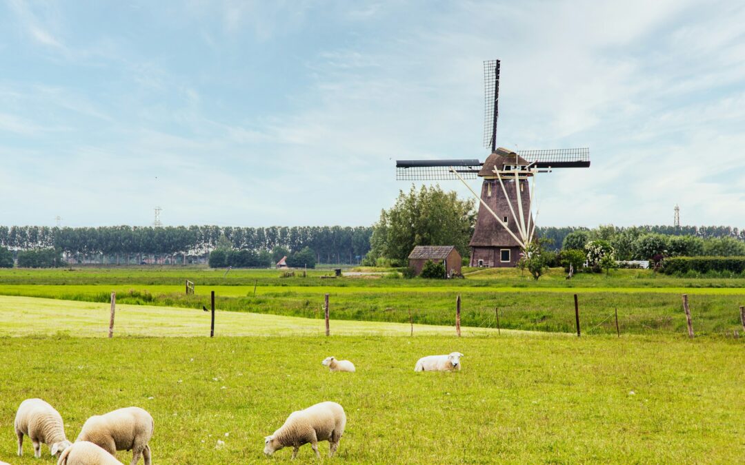Wat trekt Nederlanders naar Zuid Europa en Duitsland?