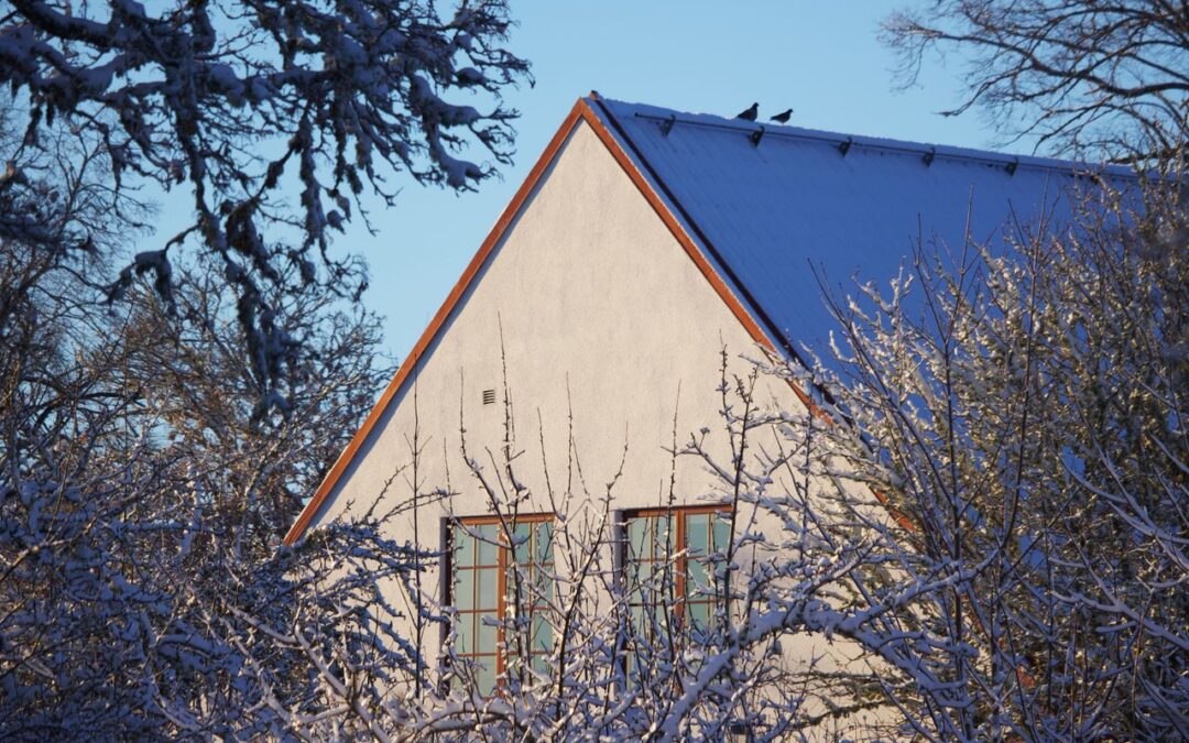 Hittewerend wonen: kleine ingrepen met groot effect
