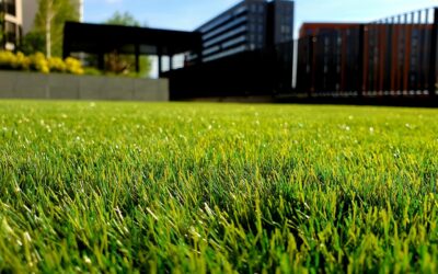 De eerste indruk telt: hoe een verzorgd gazon de waarde van je woning verhoogt