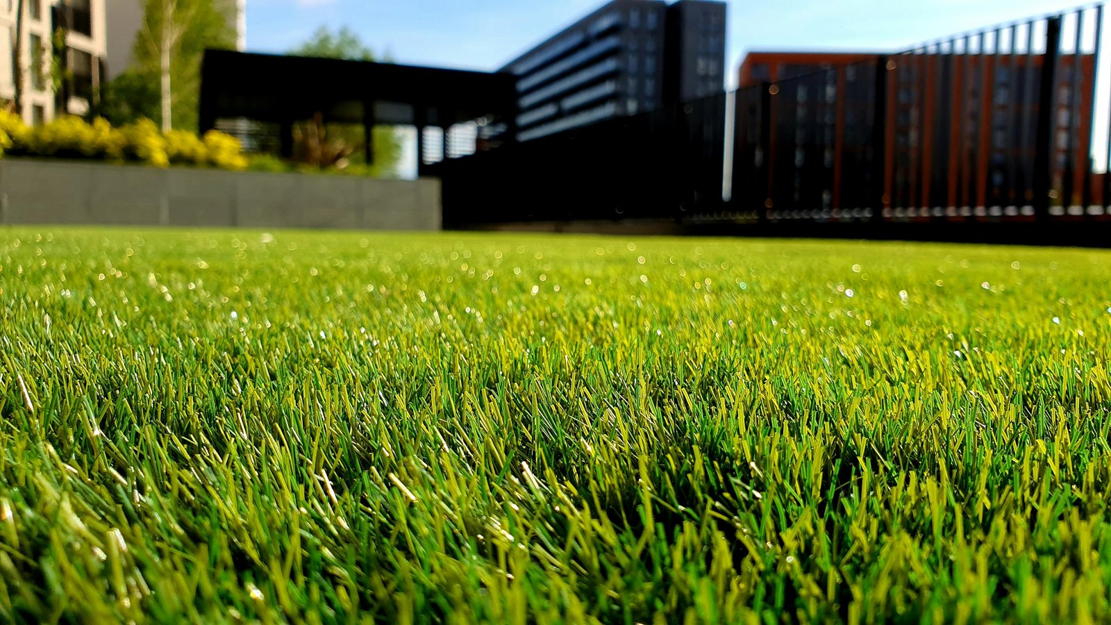 Strak groen gazon voor een woning